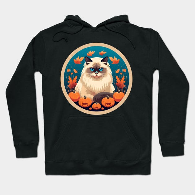 Birman Cat Halloween, Cat Lover Hoodie by dukito